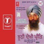 Jhoothi Dekhi Preet (Vol. 29) - Bhai Maninder Singh Song Download